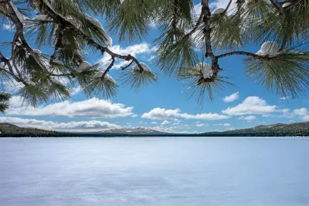 编辑.mo格式文件（Poedit工具实现.po文件和.mo文件互转编译）